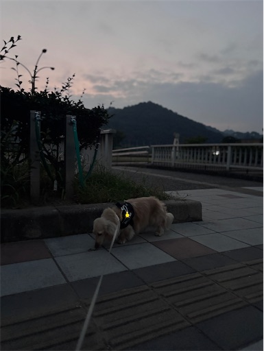f:id:renkunno:20260720081824j:image