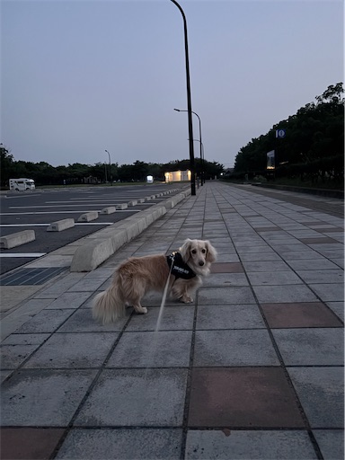 f:id:renkunno:20260720081831j:image