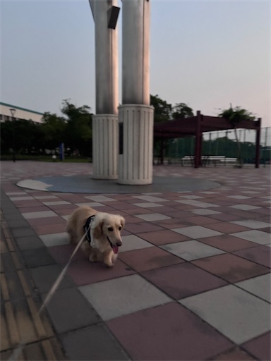 f:id:renkunno:20260720081834j:image