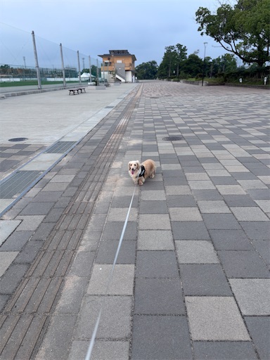 f:id:renkunno:20260720081844j:image