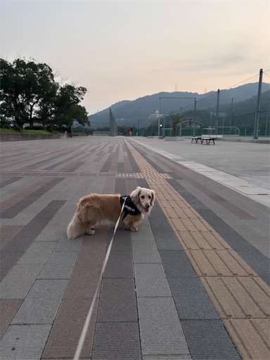 f:id:renkunno:20260720081847j:image