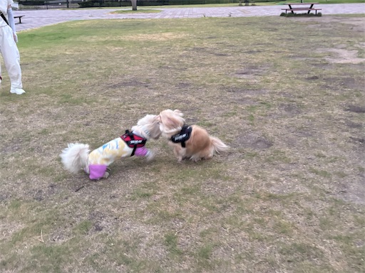 f:id:renkunno:20260730083519j:image f:id:renkunno:20260730083519j:image