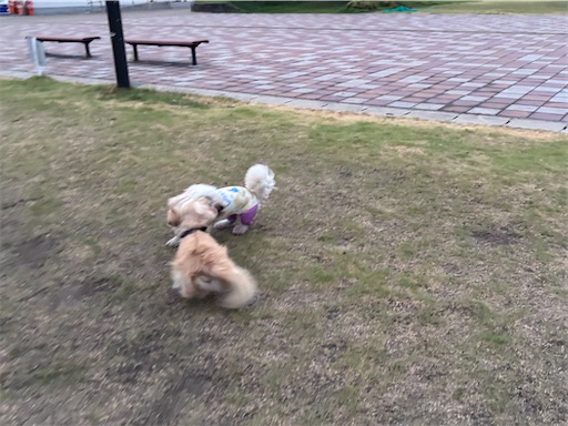 f:id:renkunno:20260730083554j:image f:id:renkunno:20260730083554j:image