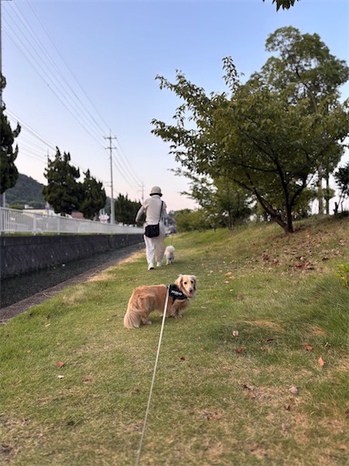 f:id:renkunno:20260803101014j:image f:id:renkunno:20260803101014j:image
