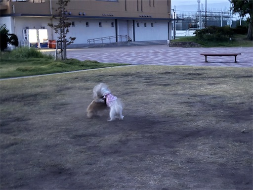 f:id:renkunno:20260811085011j:image f:id:renkunno:20260811085011j:image