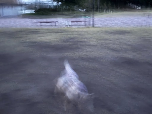 f:id:renkunno:20260811085015j:image f:id:renkunno:20260811085015j:image