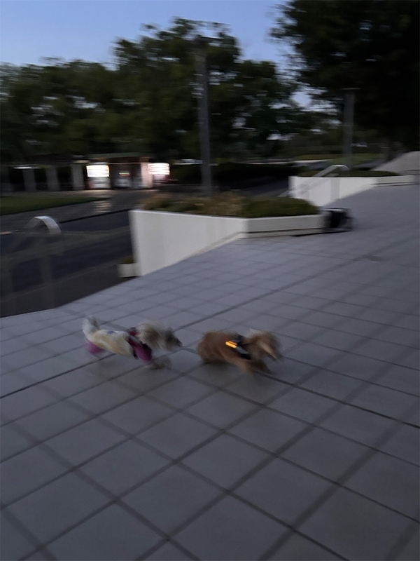 f:id:renkunno:20260917112755j:image