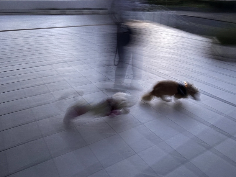f:id:renkunno:20260917112756j:image