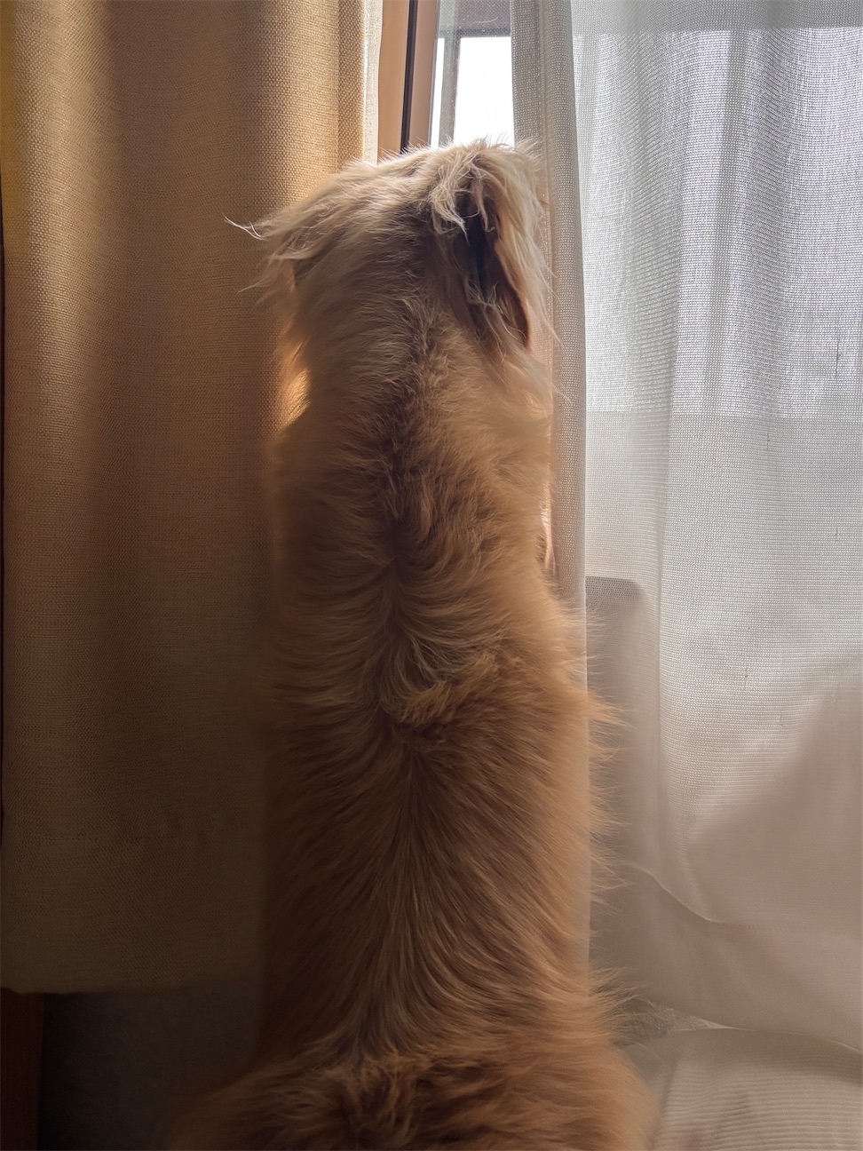 f:id:renkunno:20260928090906j:image