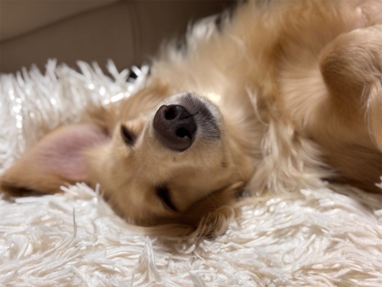 f:id:renkunno:20260928205401j:image