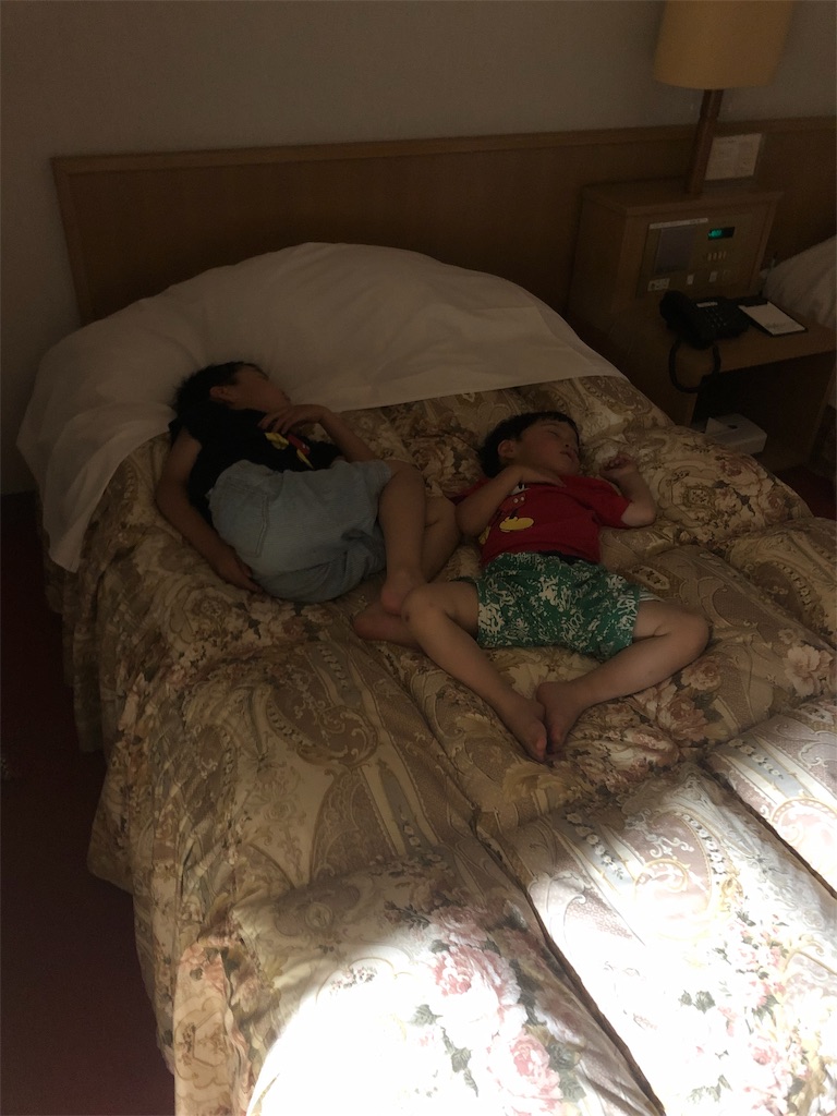 f:id:rentaikiPAPA:20190618093318j:image f:id:rentaikiPAPA:20190618093318j:image