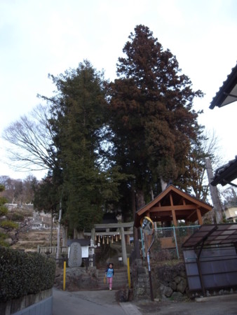 R0011127.JPG