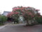 R0012938.JPG