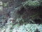 R0012961.JPG