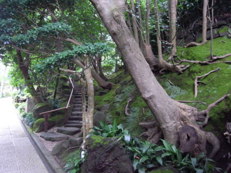 R0012963.JPG