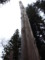 R0014420.JPG