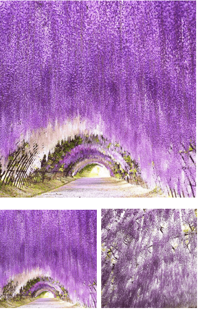 f:id:reo-naald:20190414213045p:plain f:id:reo-naald:20190414213045p:plain