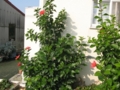 20081115095500