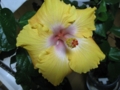 20111216233636