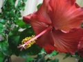 20111216233712