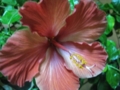 20111216233720