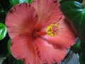 20111216233728