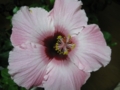 20111217180700