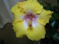 20111217180706