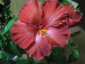 20111217180724
