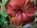 20111217180740