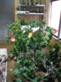 20111218163817