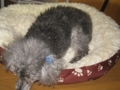 20111220192846