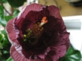 20111221191046
