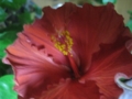 20111221191107
