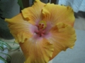 20120104205322