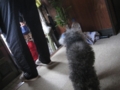 20120105093256