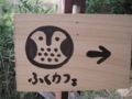 20120107131102