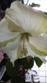 20120526103454