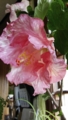 20120527084343
