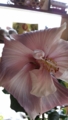 20120527084502