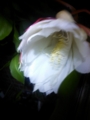 20120716202143