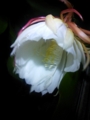 20120716202154