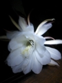 20120716213140