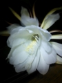 20120716213153
