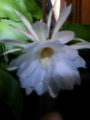 20120716234911