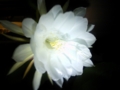 20120716234932