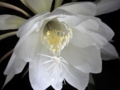 20120717215808