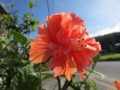 20120718080224