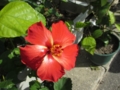 20120718080229