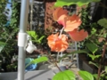 20120718080243